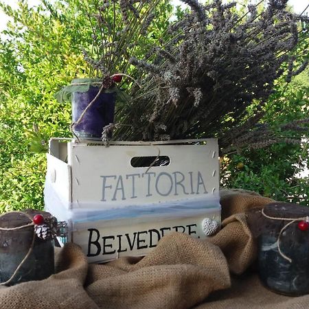 Fattoria Belvedere San Lazzaro di Savena Exterior photo